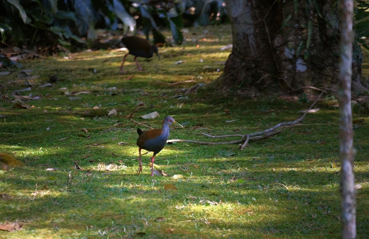 Hotel Refazenda Visconde De Maua Dış mekan fotoğraf